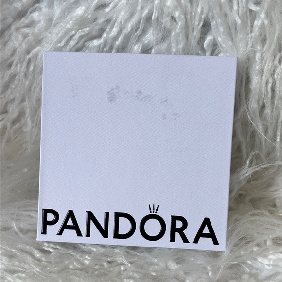 Pandora Silver Bracelet with Charm - Picture 10 of 11